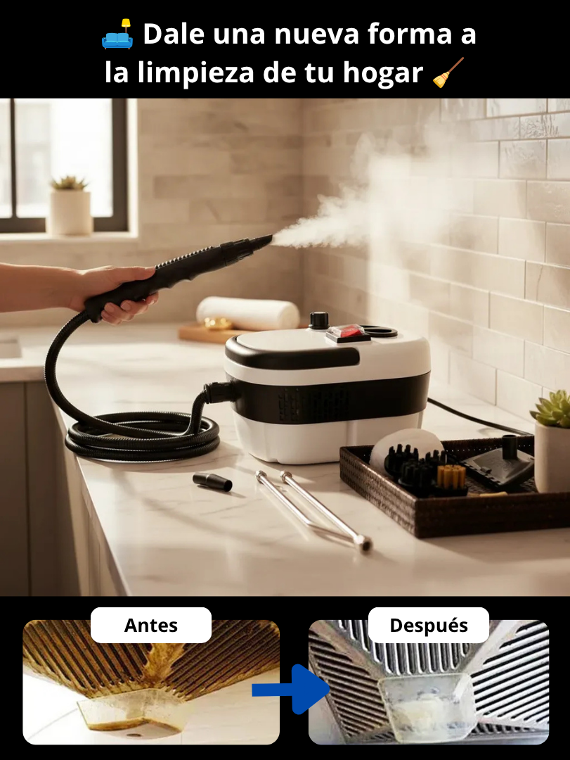 Máquina de limpieza vapor